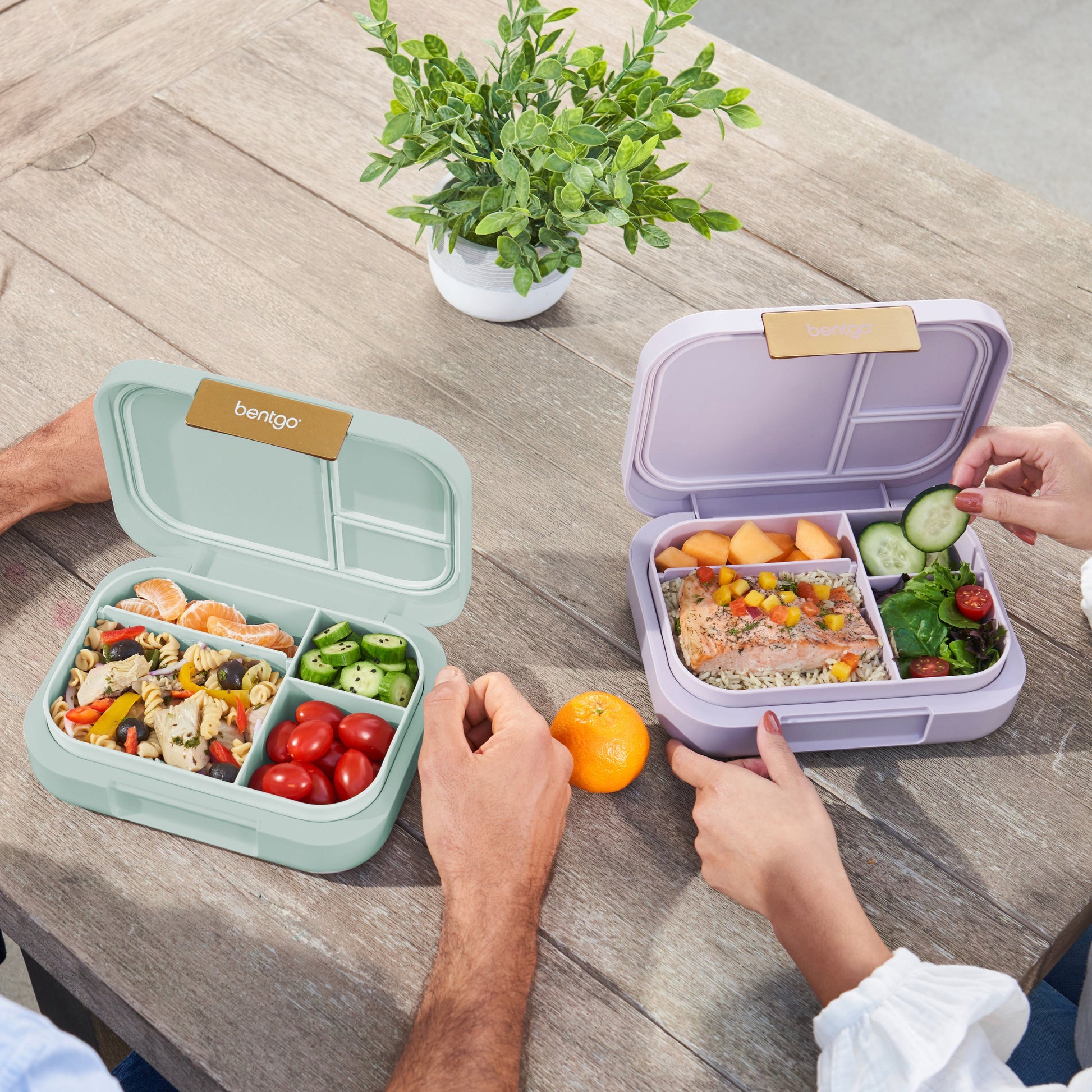 bentgo-modern-lunch-box-2-pack-x4 COSTCOBMCPRODUCTIMAGE_2.jpg